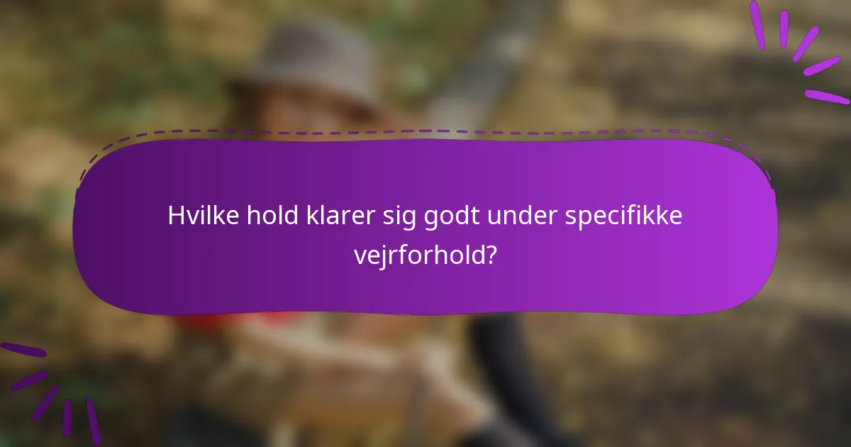 Hvilke hold klarer sig godt under specifikke vejrforhold?